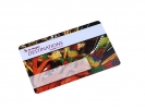 Access control Card
