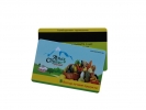 Magstrip Card